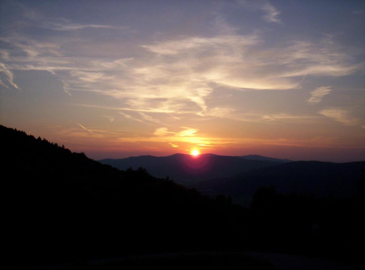 Bayern Ferienland Sonnenwald Lejlighed Schöfweg Eksteriør billede